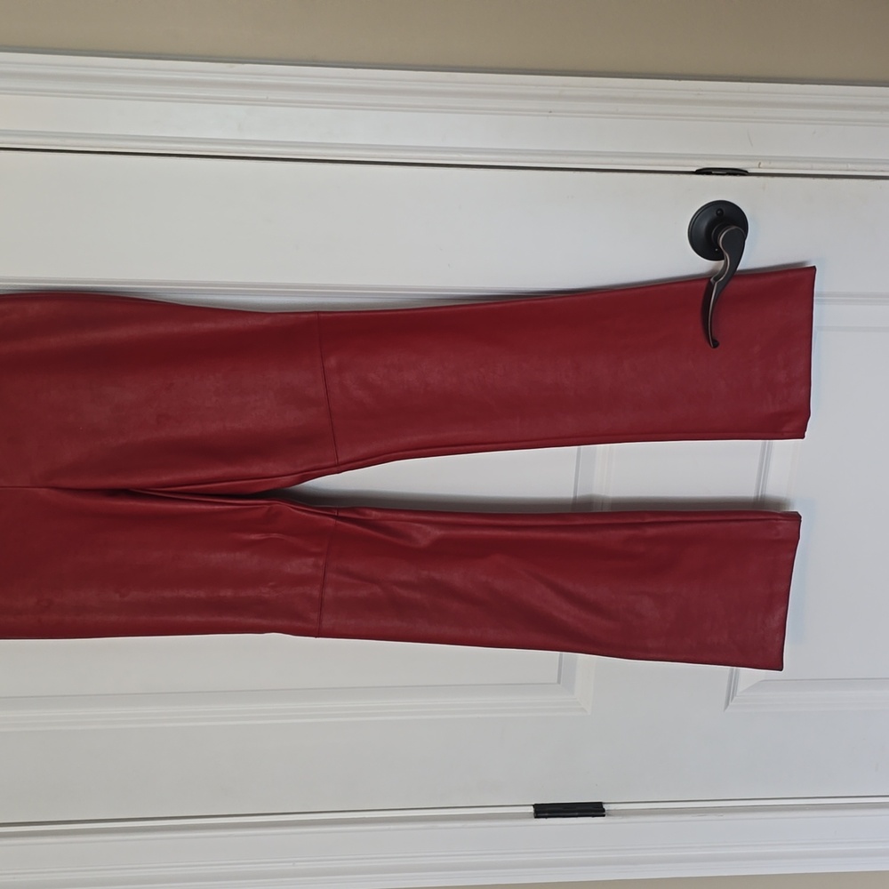 Ted leather pants